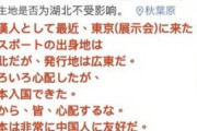 【朗報】中国人「武漢人だが日本に無事入国できた。中国人よ安心してくれ、日本は唯一の友好国だ！」
