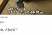 公園で12人を噛んだ四国犬の飼い主 「塀も高いし絶対に逃げ出せない状態だったのに…申し訳ありません」
