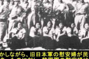韓国政府主導の売春婦だよね　〜　【韓国】「韓国政府は韓国軍慰安婦問題を謝罪するべき」韓国教授の主張にネットで共感の声