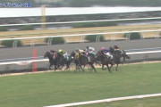 【競馬/アーリントンC】キョウヘイがまた直線一気で勝てると思ってる奴の数→