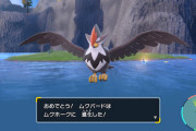 ムクホーク、ファイアロー、アーマーガアの三大有能序盤鳥www