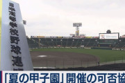 【悲報】高3球児「ﾊｧﾊｧ、２年の下積みに耐えてやっと甲子園に出られる準備が整ったぞ」