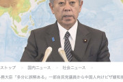 岩屋外務大臣「多分に誤解ある。丁寧に説明していく」