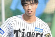 2026年は球児が期待してる門別、木下、井坪、百崎、嶋村が飛躍してくれるかどうか