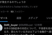 【悲報】投資家「SBI証券で株を現物成行買いしたら追証喰らった！助けて！」