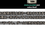 【朗報】たぬかなさん、ゲーマー復帰