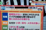 【悲報】テレビ「バイクにハマる人の特徴はこちらですw」←少し酷いと話題にｗｗｗｗｗｗ