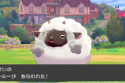 【疑問】野生のポケモンって負けたらﾀﾋんでるのか？←ゲームに対するリアリティをどこまで求めるのか…