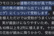 動物も植物も子孫を残すように進化してきたのにもかかわらず