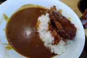 ハンバーグカレーを食べたよ