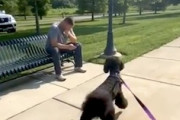 犬は１０ヶ月ぶりの友人に気づく事ができるのか。心温まる映像が人気に。