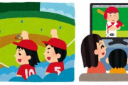 野球ファン「野球観戦2000円は安い！」野球ファン「プロ野球見放題セットが一カ月2000円は高い！」