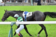 【競馬】今日の日本ダービーで馬が死亡 、 競馬ファン「可哀想」「ご冥福です！」 → ネット民「可哀想だと思うなら競馬禁止にしろや、虐待レースやん！！」