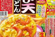 【画像】この鍋焼きうどんうますぎて草ァ！！！