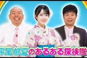 日向坂ミュージックパレード #17【平尾帆夏正源司陽子】『あるある探検隊! 』レギュラー
