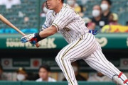 阪神・糸原が自己最長を更新する８試合連続安打