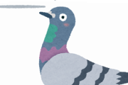 ビビリすぎて『最終形態』になった鳩、可愛すぎる【画像あり】