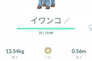 【ポケモンGO】「黄昏イワンコの色違い」出した奴が優勝