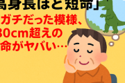 【悲報】「高身長ほど短命」←ガチだった模様、180cm超えの寿命がヤバい…