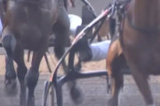 【恒例】ニコラ・ヨキッチが愛馬の勝利を喜ぶ