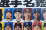 【画像】スラッガーが選ぶ12球団の「顔」