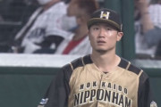 【vs西武】日ハム西川、好プレー！