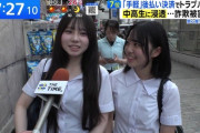 【画像】女子中学生「助けて！後払い決済を利用したら返済できなくなったの」 　←くっそかわいいと話題にｗｗｗ