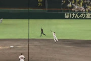 【阪神対巨人16回戦】巨人・吉川尚輝、ファインプレー！！！！！