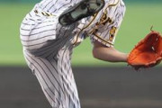 阪神・馬場皐輔さんのカタログスペック、強すぎる