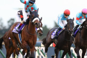 今年の年度代表馬はアーモンドアイだよな？
