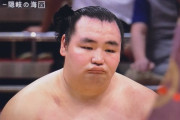 【悲報】今の相撲界、白鵬どころか日馬富士レベルの力士すら出てこない・・・