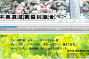 栃木のホール組合「休業要請の対象からパチンコ店除外してよ！」→栃木県知事の反応は…