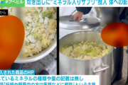 被災地で炊き出しを行なった団体｢豚汁にワイおすすめのミネラル入りサプリ入れたろｗ｣→怖すぎて大炎上→団体｢問題ない｡アンチは無知｣