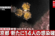 【速報】東京都コロナ+14…日曜日なのに多い！？