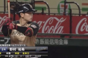 日ハム北海道移転後の高卒3年以内野手シーズン安打数ランキングｗｗｗｗｗｗ