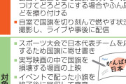 お子様ランチを前に旗を睨むパヨク　〜　【速報】国旗損壊罪法案、自民党内の手続き完了　国会で成立へ