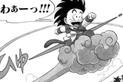 【ドラゴンボール】筋斗雲「心が清い者しか乗れません」←なんで武天老師とクリリン乗れないの？？？