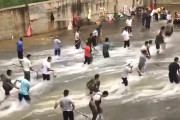 【動画】中国、チャイニーズドリームを求めて川に市民集結！大物のアレを狙え～！w