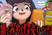 【VTuber】ぽこピー、海外で買った超レアな珍品を大金持ちの"あの人"に届けよう！！！【inネパール】
