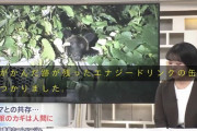 【速報】旭川市で熊が噛んだエナジードリンクの缶が見つかり住民戦慄…「エナドリを飲んだ熊はヤバい」