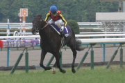クロワデュノールの勝ち鞍　他