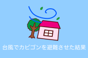 日本人が台風に備えてカビゴンを避難させたら思わず笑ってしまう結果に！【台湾人の反応】