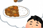 俺「このにおい…晩飯はカレーだな(ｳｯｷｳｷ」