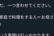 【悲報】味の素「世の中のお母さん！冷凍餃子を使うことは手抜きではなく”手間抜き”ですよ！」→ツイッターママぶちギレ
