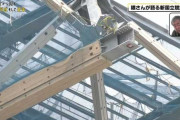 【悲報】新国立競技場 木漏れ日を再現したせいでピッチが見づらい
