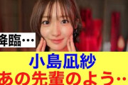 【爆誕】櫻坂46小島凪紗が見せた姿があの先輩の姿が浮かぶと話題に…#櫻坂46