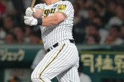 阪神・ノイジー、同点呼ぶミラクル右前打！虎党の声援感激「ここ以外にプレーする場所はない」
