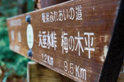 登山中の脳内BGMといえば？