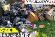 【悲報】イギリスまじでヤバい、街中のゴミ山が2ヶ月放置されネズミ・虫が大量発生で重大事案宣言