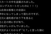 【悲報】dazzlin社員服部有菜さん、スカートの中を盗撮される